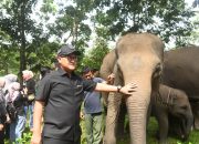 Ketua DPRD Lampung Dukung Pagar Permanen dan Penguatan MPP di Kawasan Way Kambas