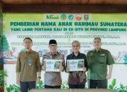 Gubernur Mirza Ajak Masyarakat Perkuat Kepedulian terhadap Pelestarian Harimau Sumatera