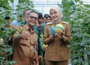 Wagub Jihan Panen Melon Smart Greenhouse, Dorong Pertanian Modern Berbasis Teknologi di Lampung